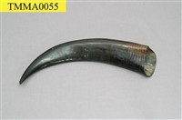 藏品(水牛的角)的圖片